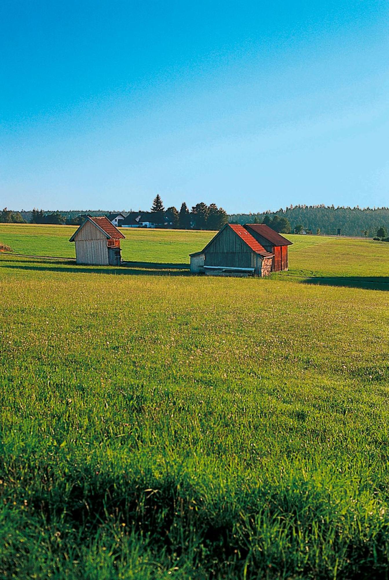 Landhaus Sackmann Baiersbronn Ngoại thất bức ảnh